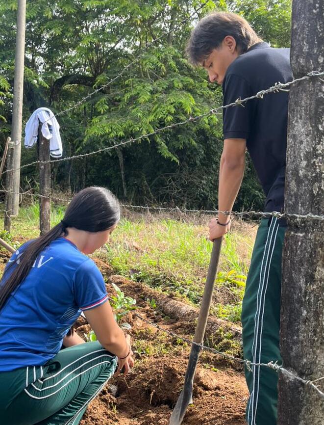 Estudiantes participando en una actividad ambiental